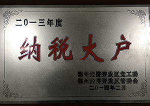 2013年授予納稅大戶